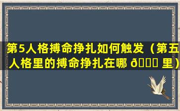 第5人格搏命挣扎如何触发（第五人格里的搏命挣扎在哪 🍁 里）